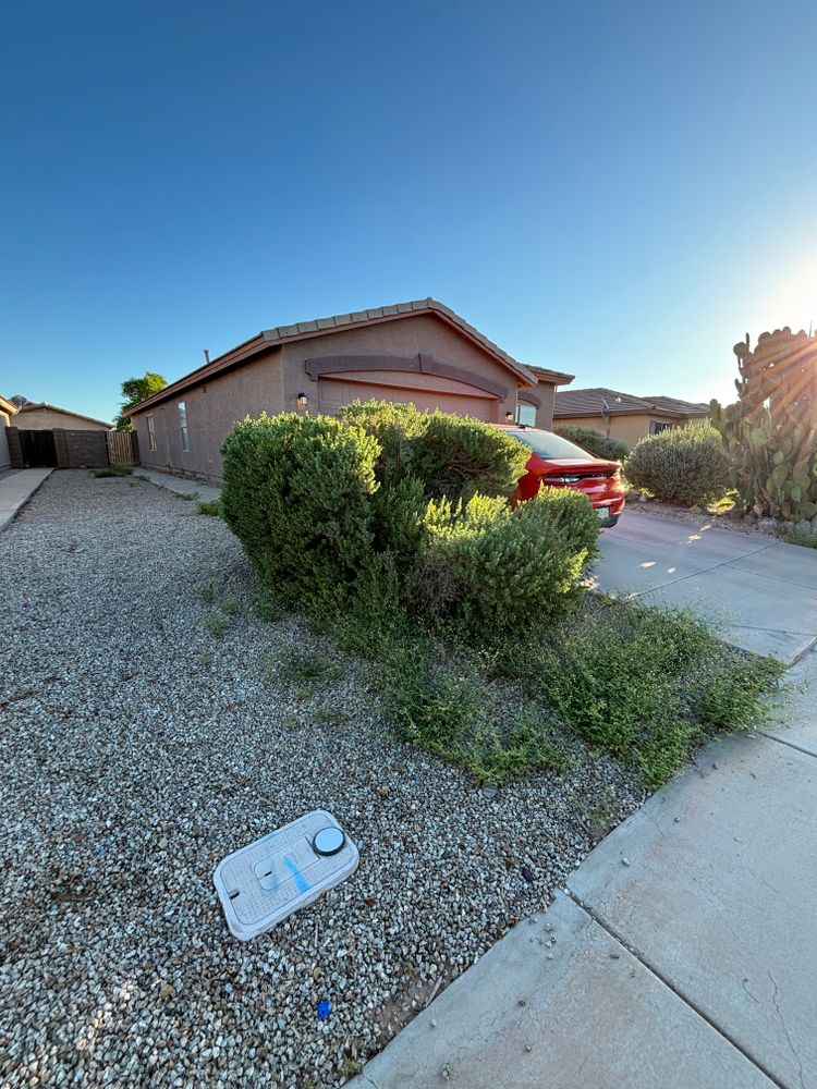 All Photos for Good Hands Landscape in Maricopa, AZ