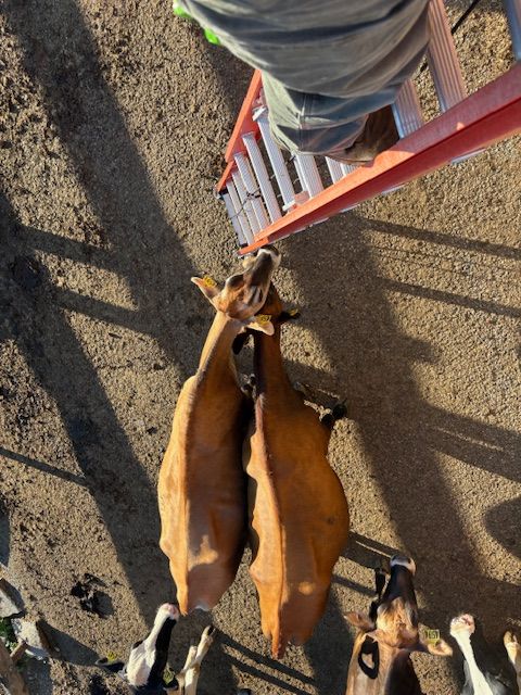 All Photos for Accurate Power in Mansfield Center, CT