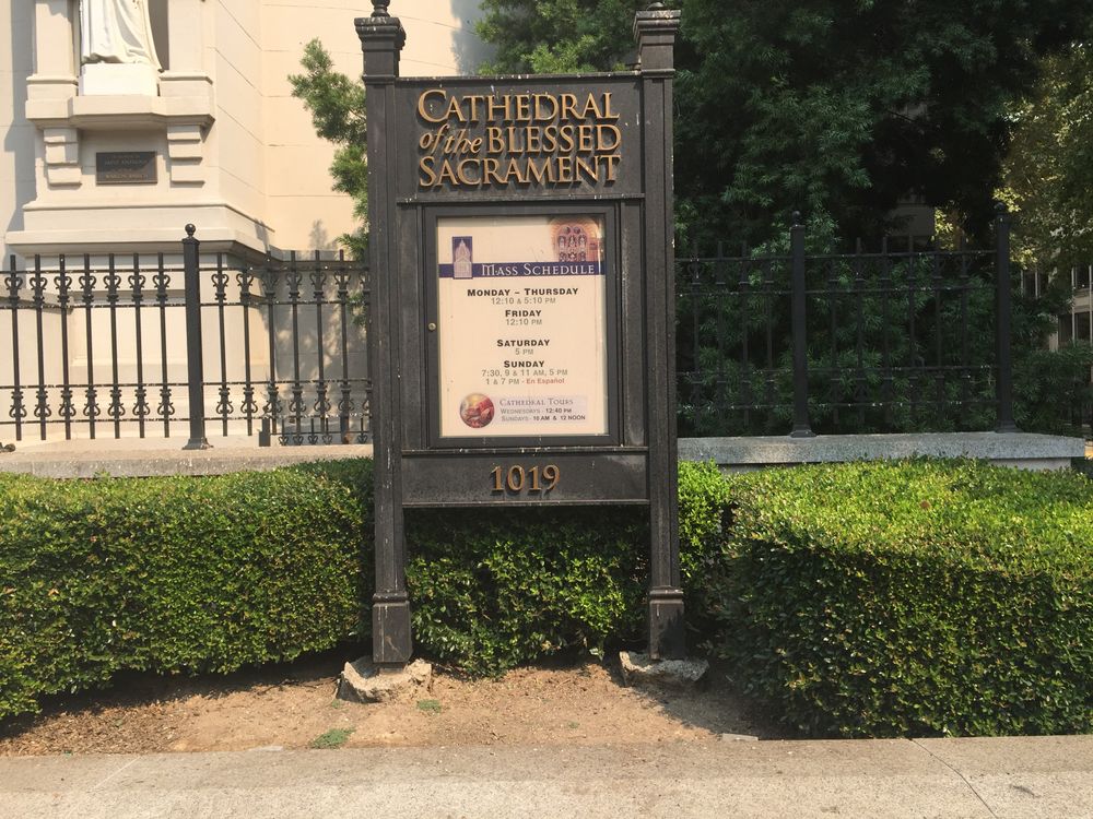 Concrete Patios, Walkways, and Driveways for Blue Water Landscape Services in El Dorado Hills, CA