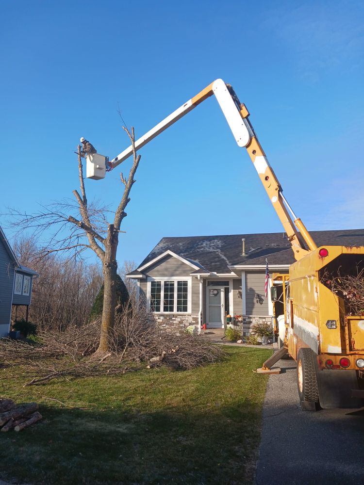 Buffalo Family Tree Care team in Buffalo, MN - people or person