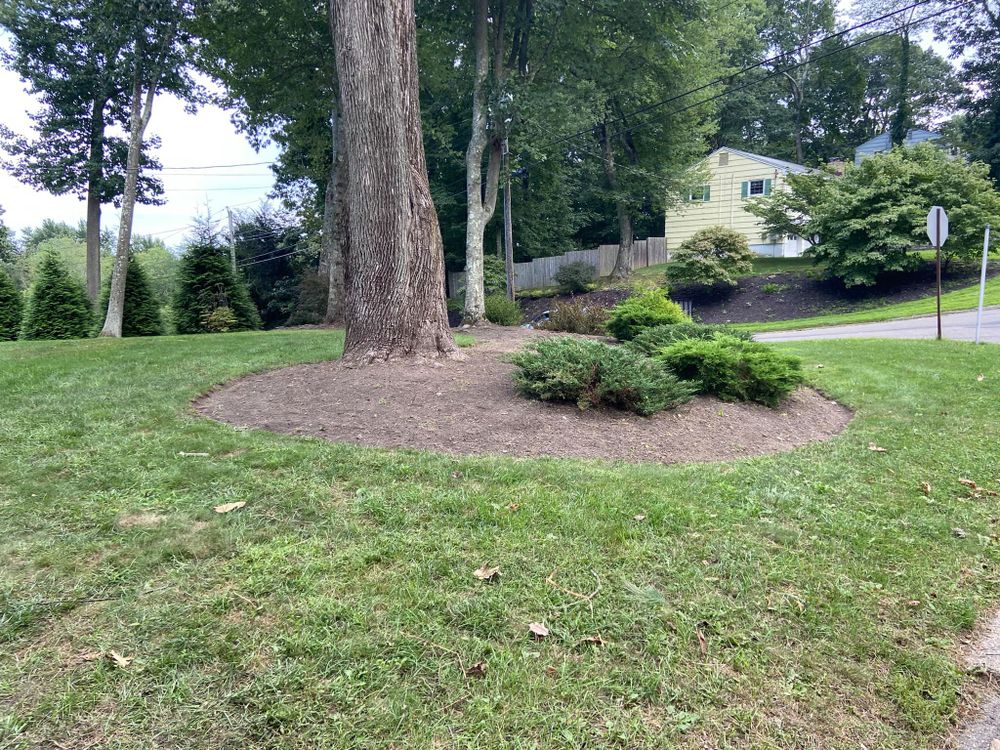 All Photos for Ace Landscaping in Trumbull, CT