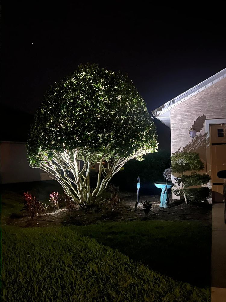 All Photos for Cunningham's Lawn & Landscaping LLC in Daytona Beach, Florida