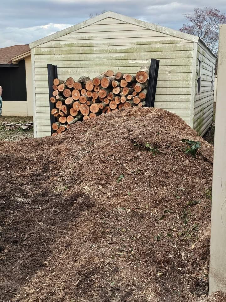 All Photos for Stumps done right LLC in Middleburg, FL