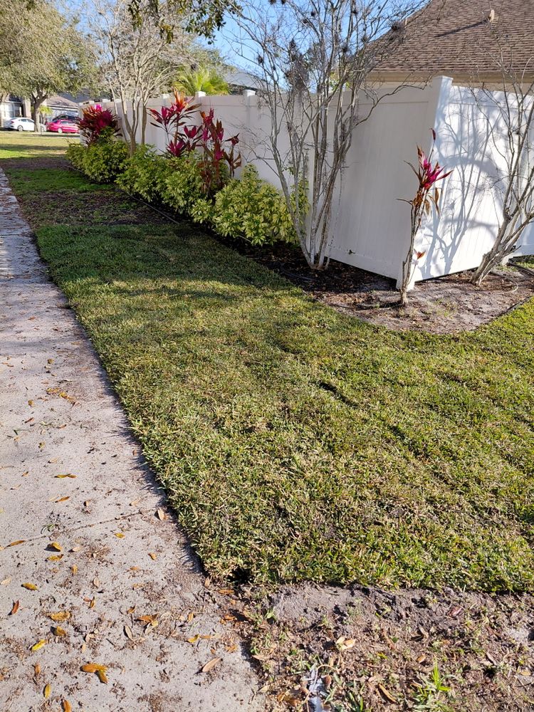 All Photos for Gulf Bay Sod in Clearwater, FL