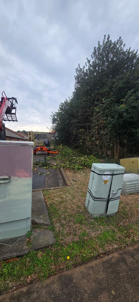 All Photos for Beach Tree Care in Virginia Beach, VA