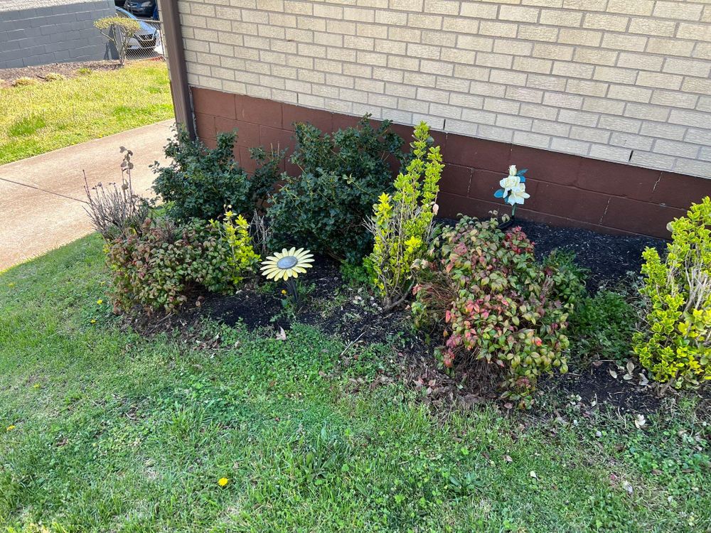 All Photos for Grass Management in Nashville, TN