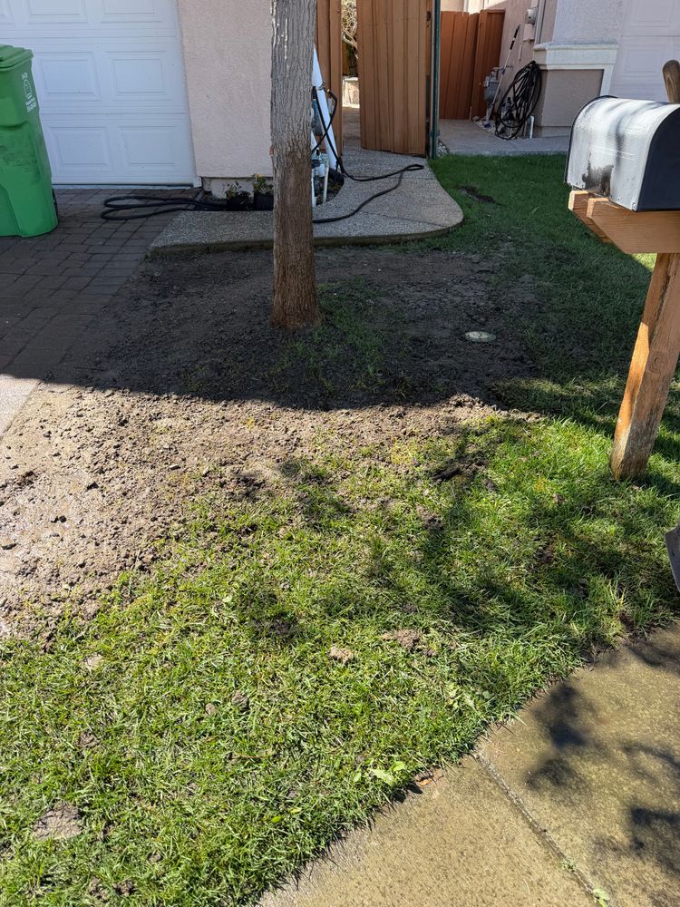 All Photos for CBA Landscaping in Hayward, CA