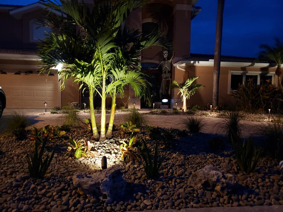 Landscaping for Golden Landscape & Tree Care in St. Petersburg, Fl