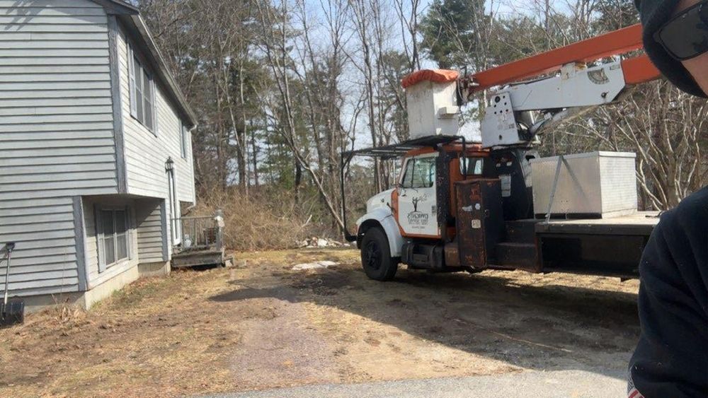 All Photos for Dwights Tree Service in Middleborough, MA