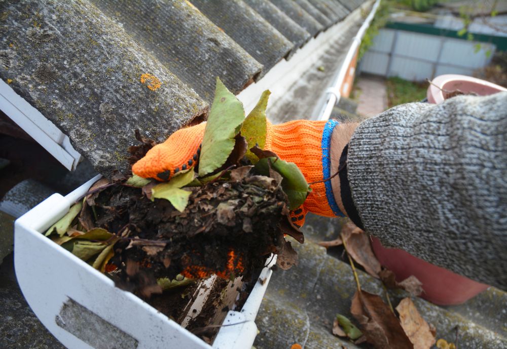 Our gutter cleaning service is expert, thorough, and professional. We'll clean your gutters and downspouts to get rid of all the leaves, debris, and gunk that's been building up. We'll also check for any damage or problems that need to be addressed, so you can rest easy. for Pugh's Dependable Services, L.L.C. in Raleigh, NC