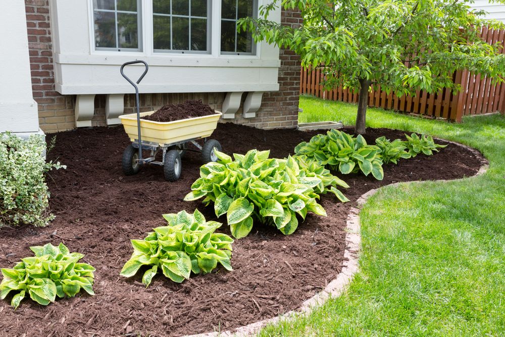 Our Mulch Installation service provides a protective barrier for your garden beds, helping retain moisture, suppress weed growth, and enhance the overall aesthetic appeal of your landscaping with high-quality mulch options. for Grassy Turtle Services, LLC.  in Oxford, CT
