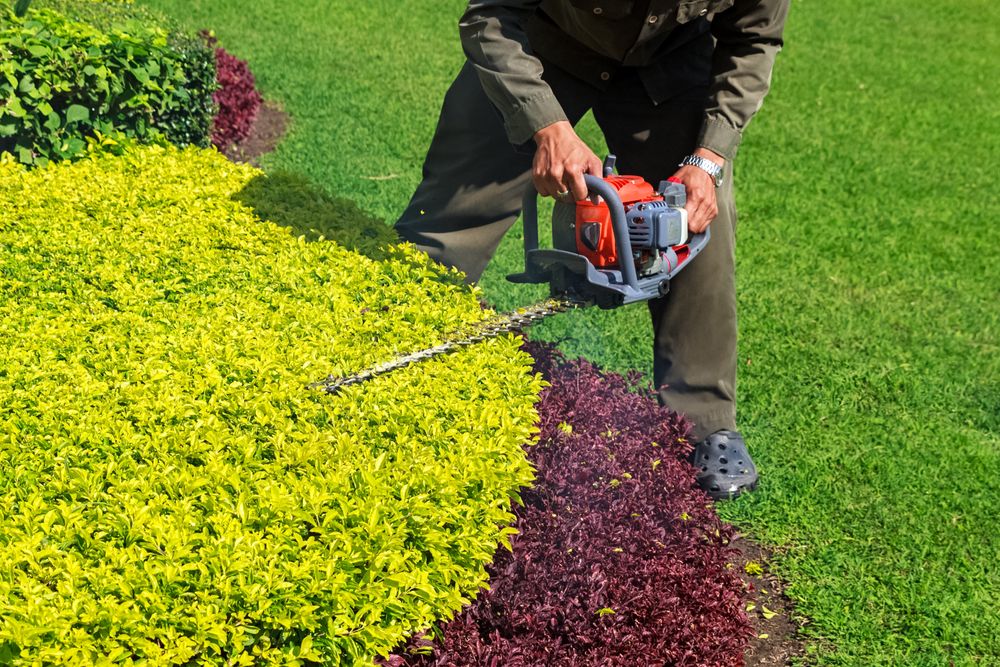 Our Shrub Trimming service ensures your property's bushes and shrubs are healthy, attractive, and maintained to the highest standards. for F & F Lawn & Landscaping LLC in Crescent City, FL