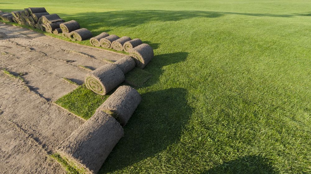 All Photos for Major Landscaping & Firewood Services of Lawrenceville in Lawrenceville, GA