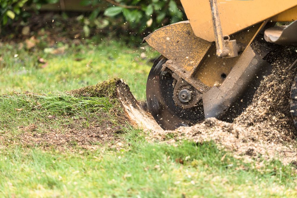 We offer professional stump removal services to fully clear your property of unsightly tree remnants, ensuring a clean and safe environment for landscaping or construction projects. for Vaughn’s Outdoor Services  in Orlando, FL
