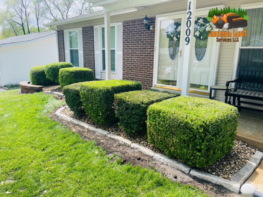 Landscaping for Jackson Lawn Services LLC in Florissant, MO