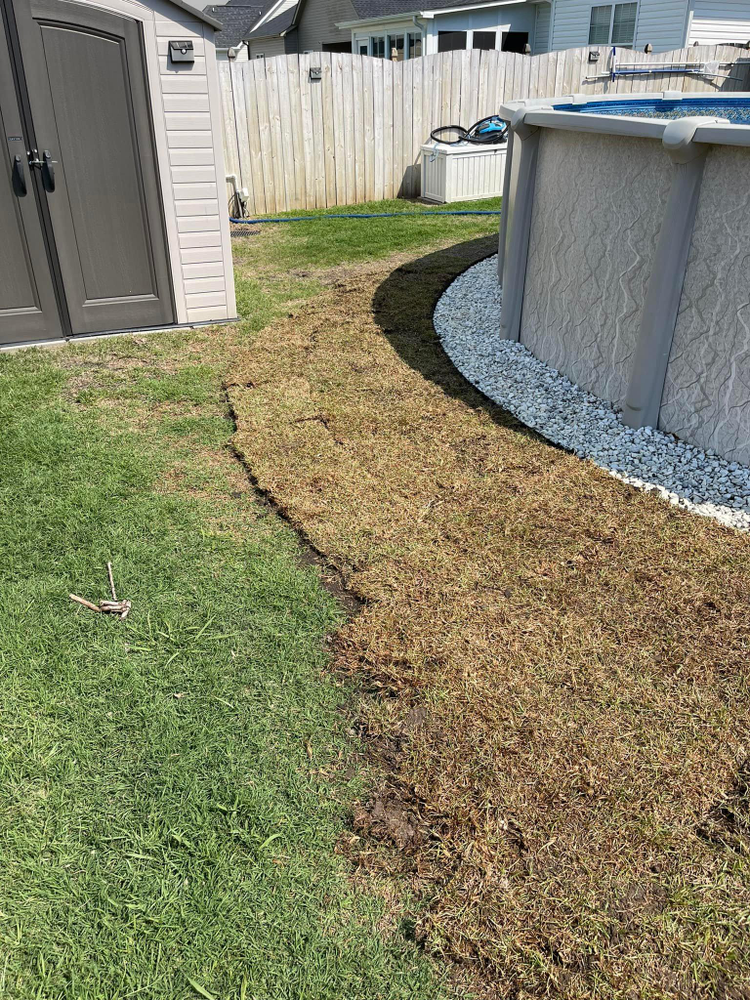 Home Softwash for Sabre's Edge Pressure Washing in Greenville, NC