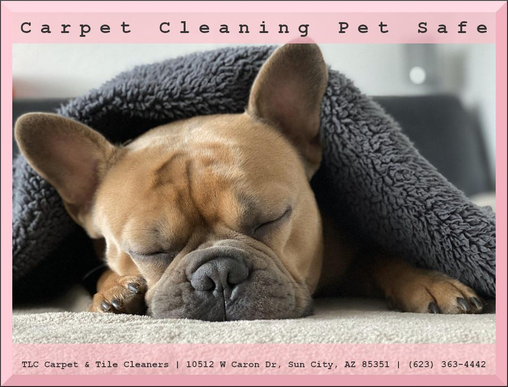 Tile and Grout Cleaning for TLC Tile Cleaning & Restoration in Surprise, Arizona