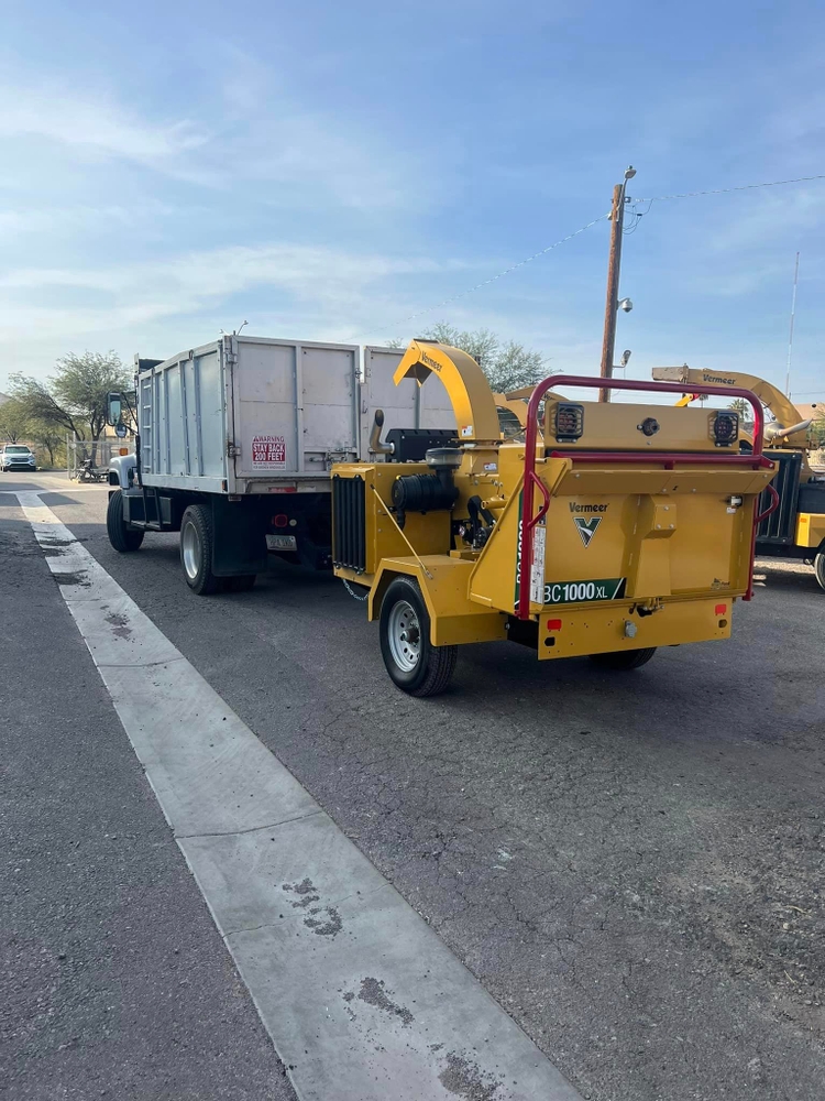 Tree Removal for By Faith Landscaping in Sierra Vista, AZ