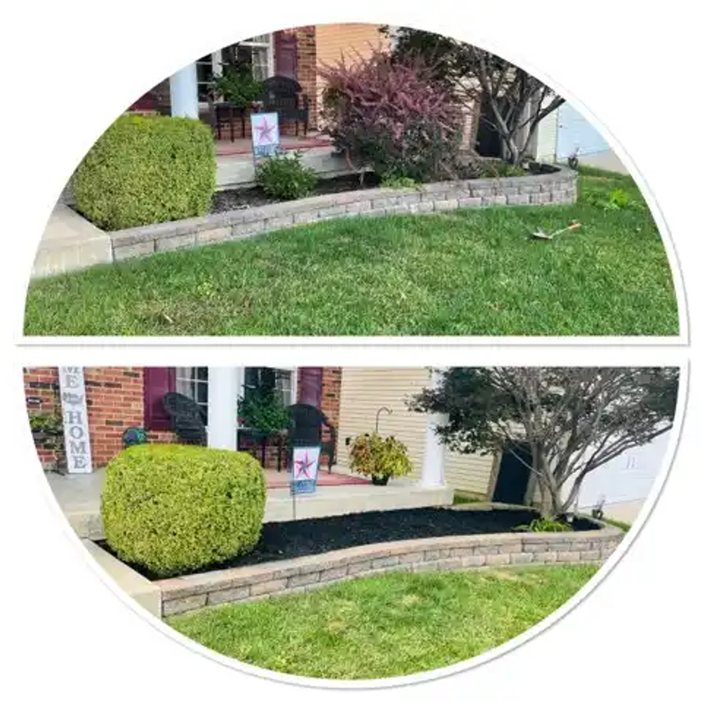 Leaf Removal  for Jackson Lawn Services LLC in Florissant, MO
