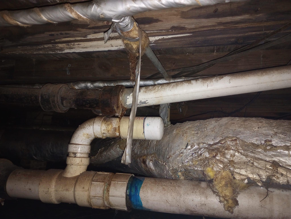 Estate Maintenance & Repairs for R & J Services in Sylvania, GA