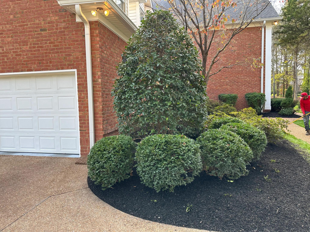 All Photos for The Right Price Right Choice Lawn Care Services in Murfreesboro, TN