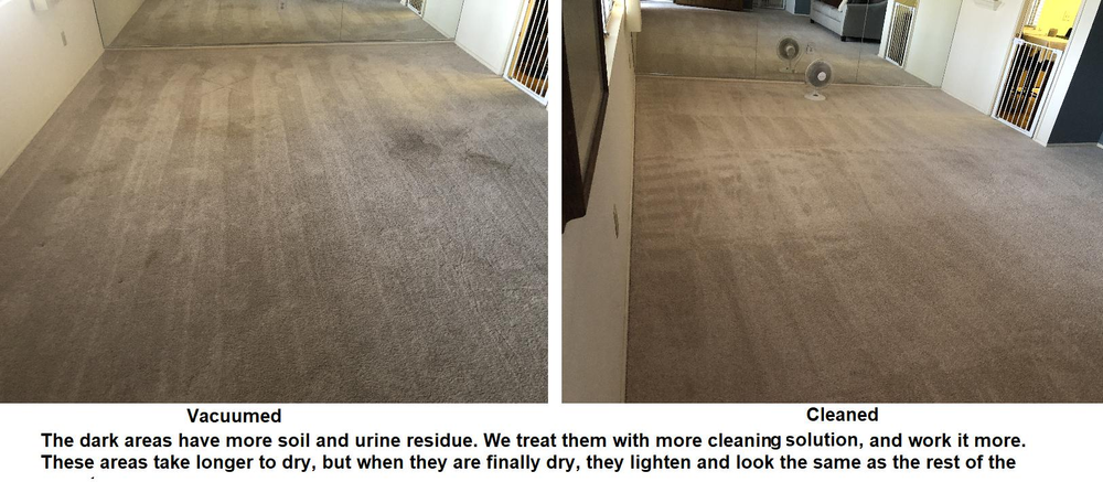 Tile and Grout Cleaning for TLC Tile Cleaning & Restoration in Surprise, Arizona