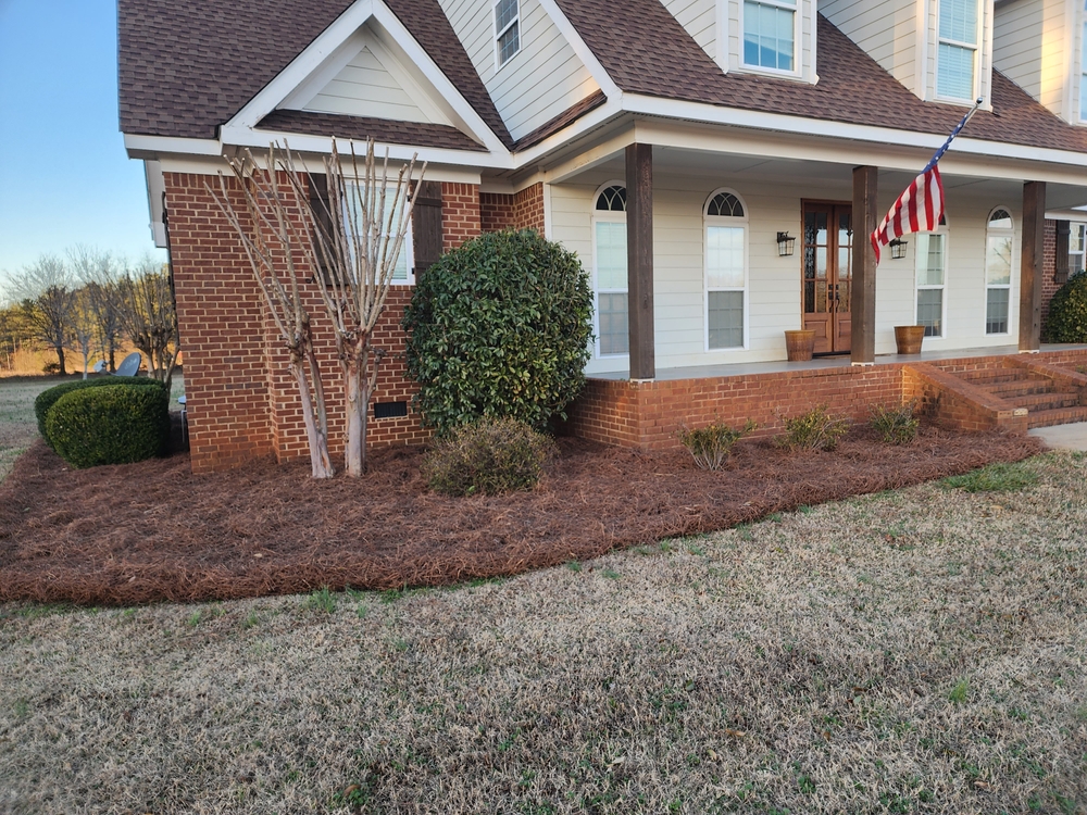 Landscaping in Athens, CJC Landscaping, LLC