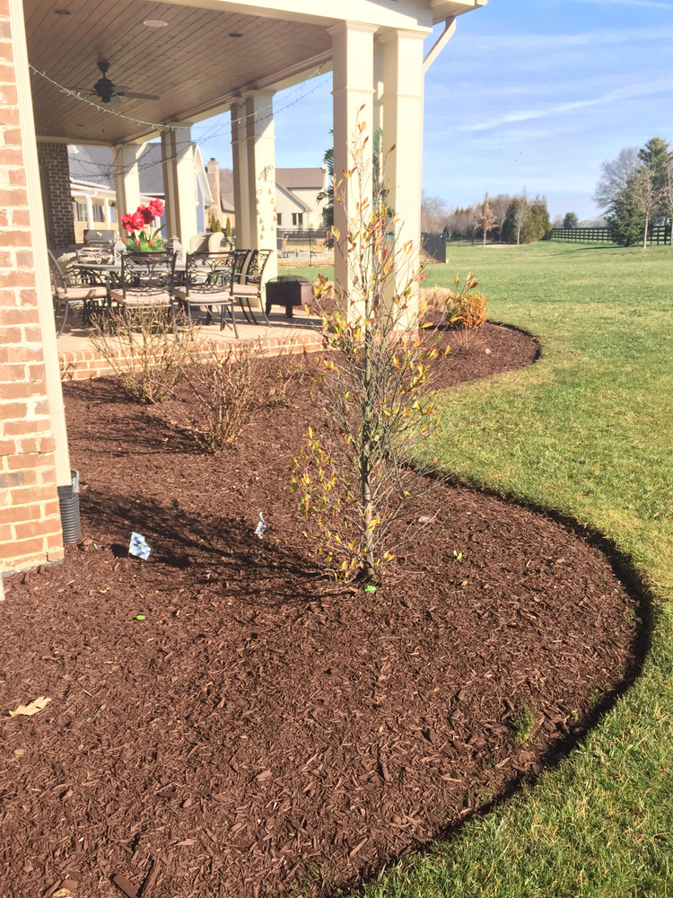 All Photos for The Right Price Right Choice Lawn Care Services in Murfreesboro, TN