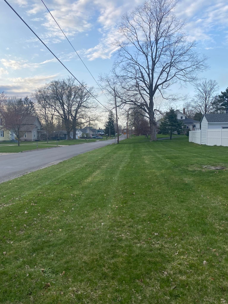 Fall and Spring Clean Up for Solid Oak Lawn Care in East Grand Rapids, MI