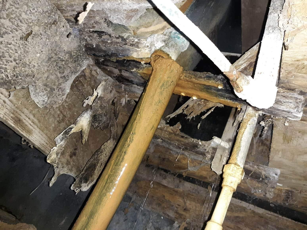 Estate Maintenance & Repairs for R & J Services in Sylvania, GA