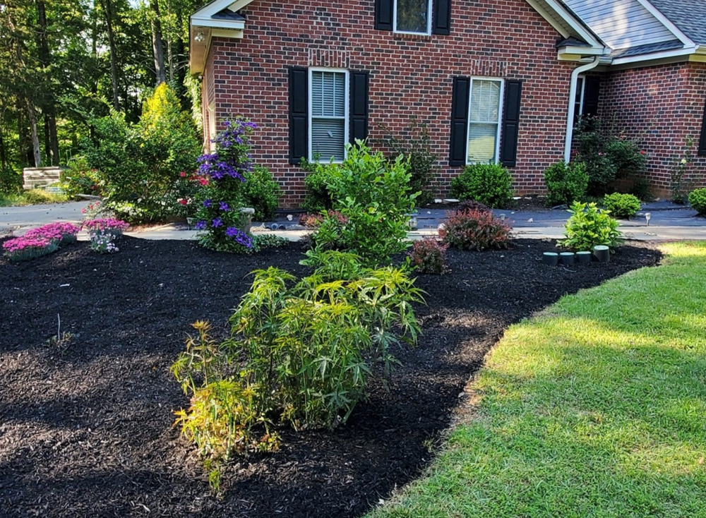 Landscaping for Muddy Paws Landscaping in Columbia, SC