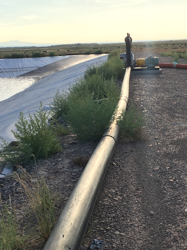 Weed Remediation for Maverick Weed & Pest Control in Pecos, TX