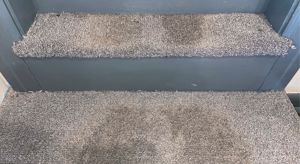 Commercial Cleaning for Sixth Scent Cleaning in Anderson, SC