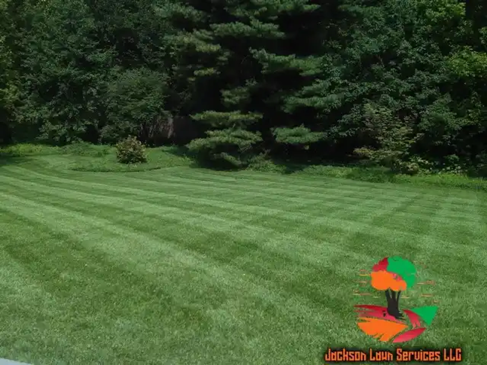 All Photos for Jackson Lawn Services LLC in Florissant, MO