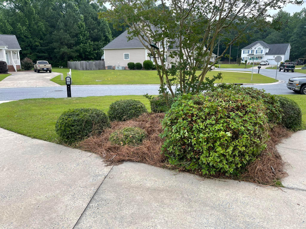 Home Softwash for Sabre's Edge Pressure Washing in Greenville, NC
