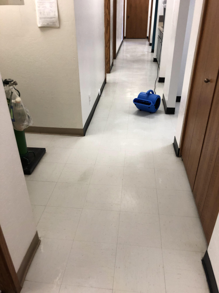Tile and Grout Cleaning for TLC Tile Cleaning & Restoration in Surprise, Arizona