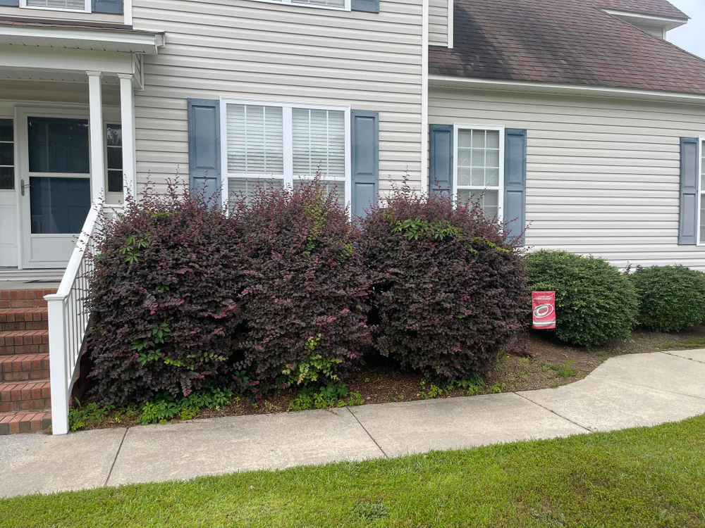 Home Softwash for Sabre's Edge Pressure Washing in Greenville, NC