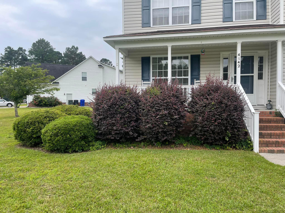 Home Softwash for Sabre's Edge Pressure Washing in Greenville, NC