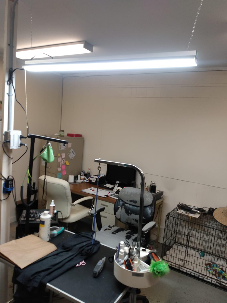 Estate Maintenance & Repairs for R & J Services in Sylvania, GA