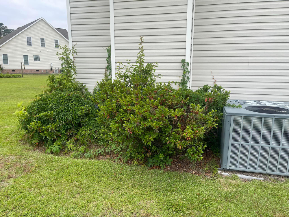 Home Softwash for Sabre's Edge Pressure Washing in Greenville, NC