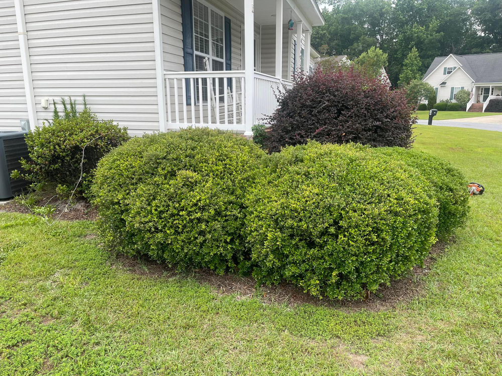 Home Softwash for Sabre's Edge Pressure Washing in Greenville, NC