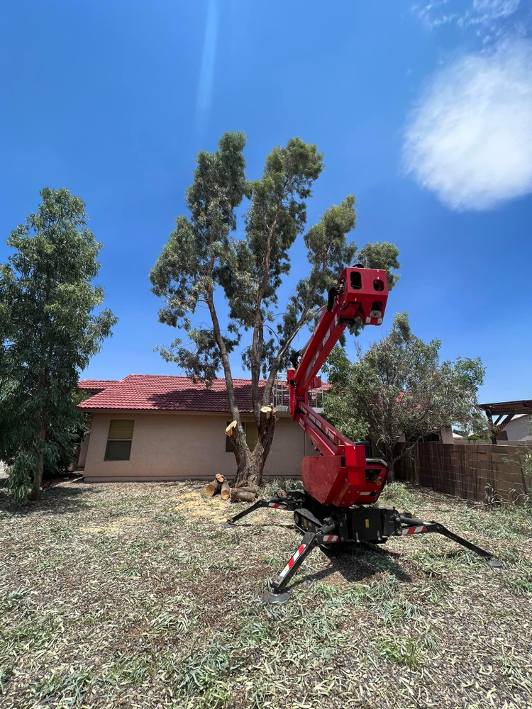 All Photos for By Faith Landscaping in Sierra Vista, AZ
