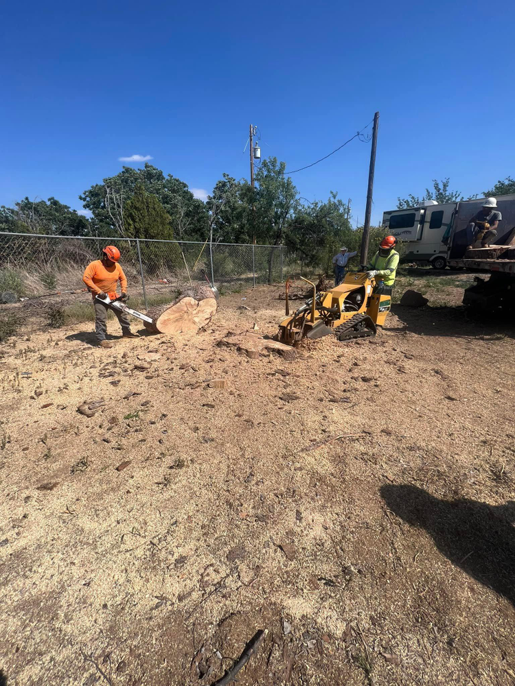 All Photos for By Faith Landscaping in Sierra Vista, AZ