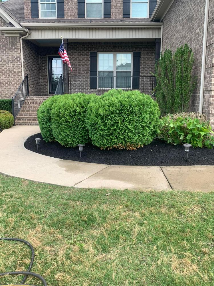 All Photos for The Right Price Right Choice Lawn Care Services in Murfreesboro, TN