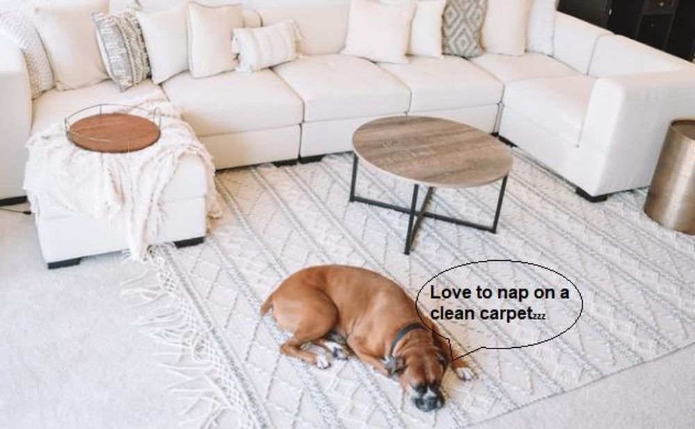 Tile and Grout Cleaning for TLC Tile Cleaning & Restoration in Surprise, Arizona