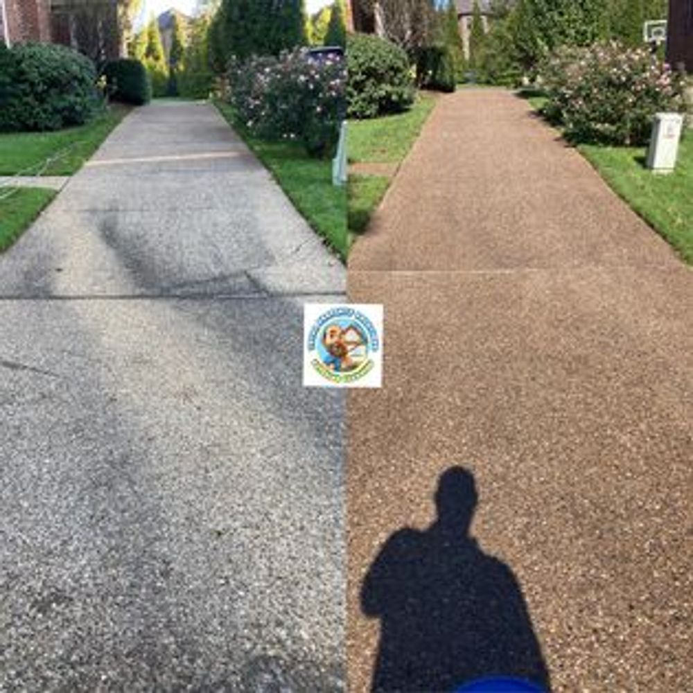 All Photos for Total Property Solutions in Saint Matthews, KY