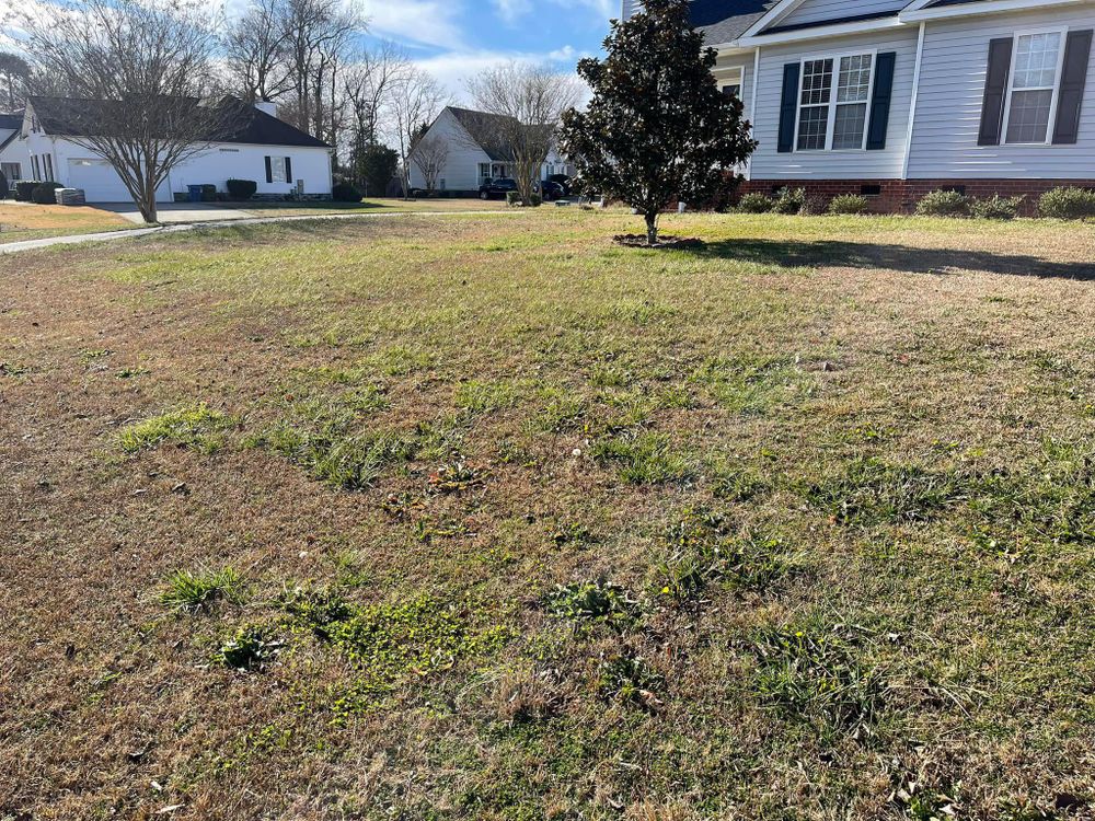 Home Softwash for Sabre's Edge Pressure Washing in Greenville, NC