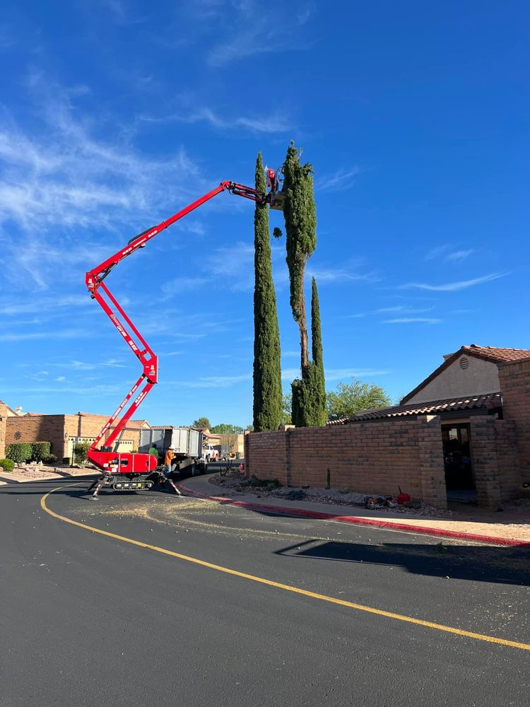 All Photos for By Faith Landscaping in Sierra Vista, AZ