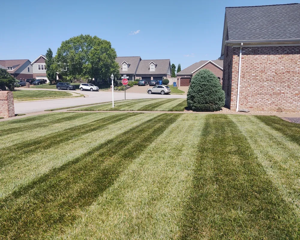 Lawn Care Maintenance     for The Grass Guys Complete Lawn Care LLC. in Evansville, IN