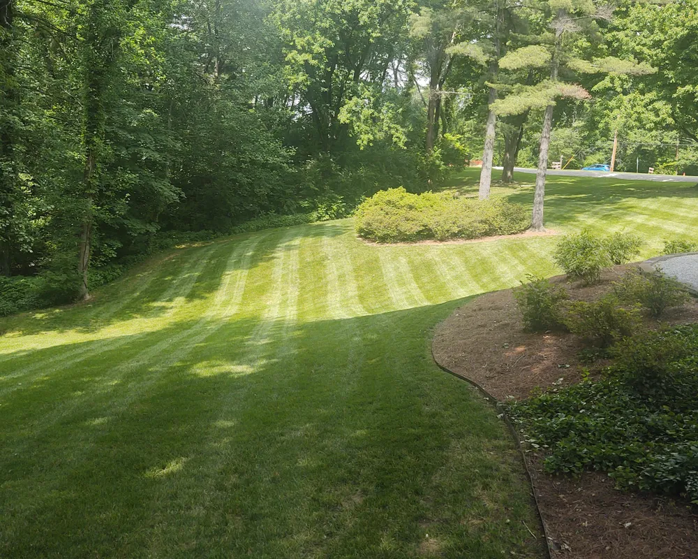 Lawn Care Maintenance     for The Grass Guys Complete Lawn Care LLC. in Evansville, IN
